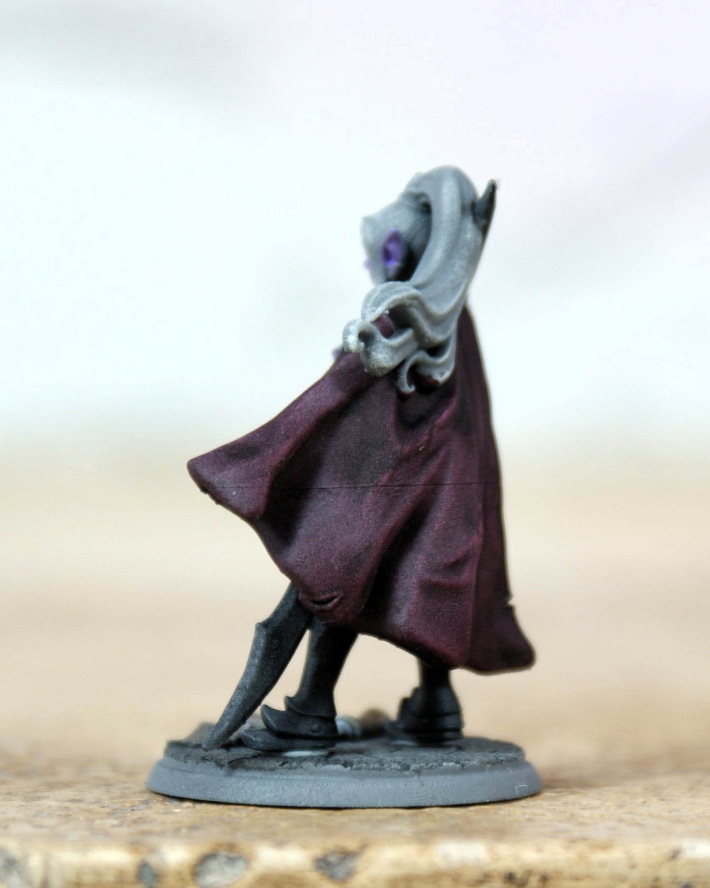 Drow Warrior