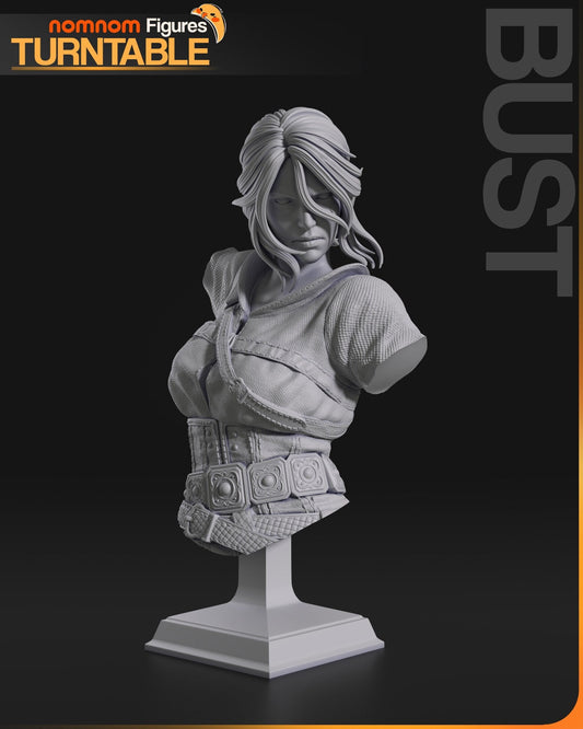 Ciri Bust